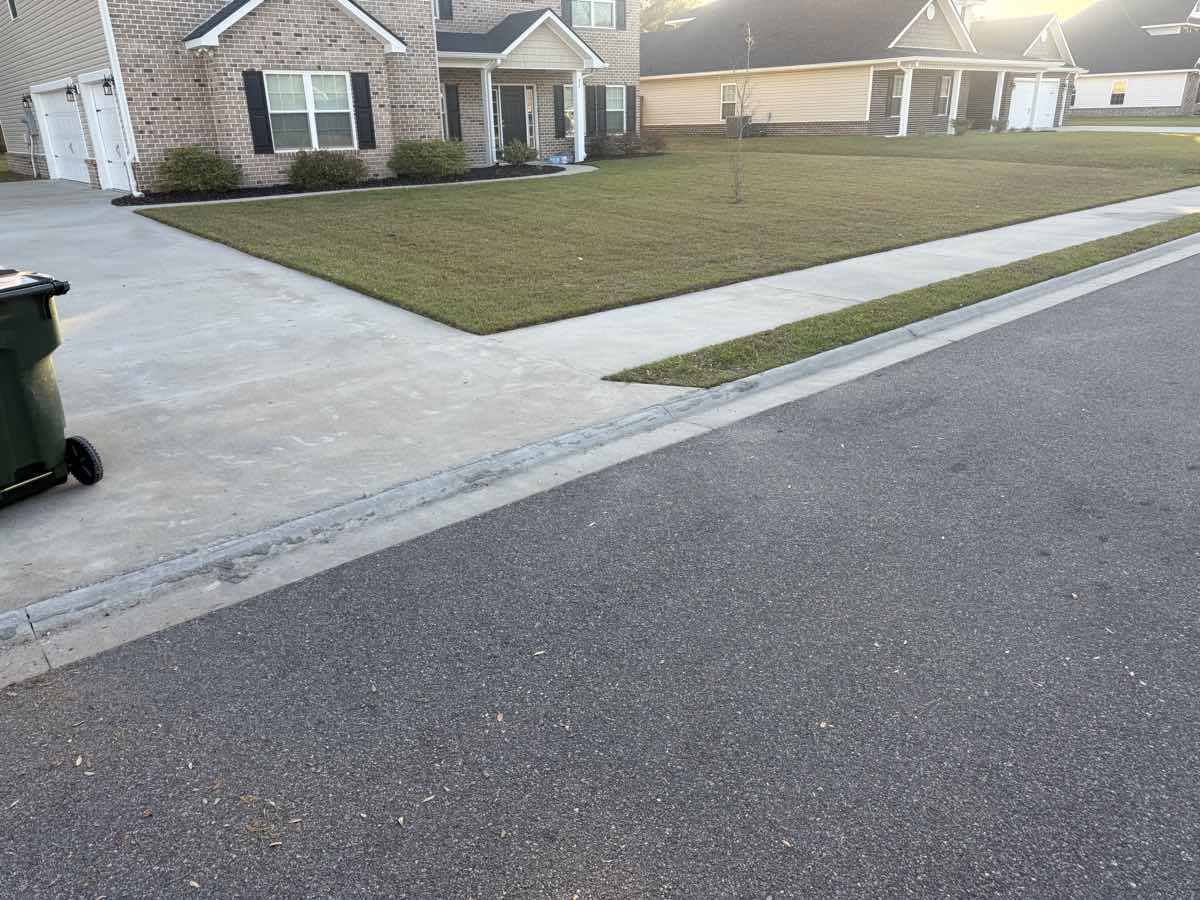 Spring lawn care